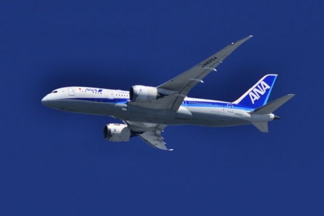 Boeing 787-8 (JA825A)