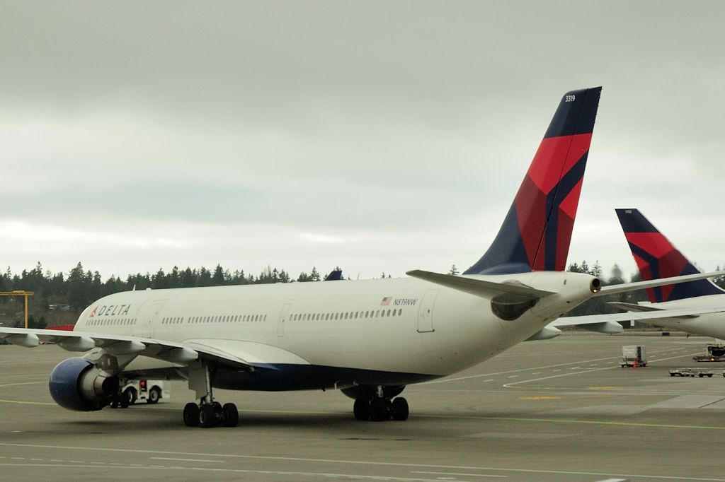 Airbus A330-300 (N819NW)