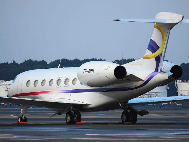 Gulfstream Aerospace Gulfstream G650 (T7-ARN) - I took this picture on Mar 05, 2019.