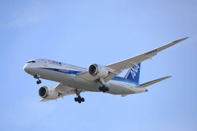 Boeing 787-8 (JA812A) - November 7th 2018:HND-HKD.