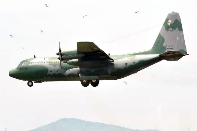 Lockheed C-130 Hercules (FAB2479)