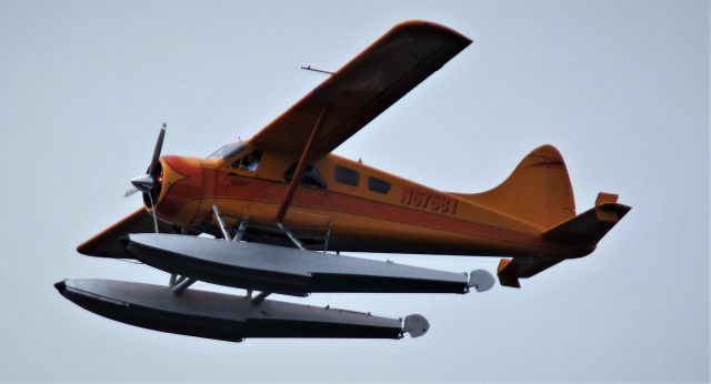 De Havilland Canada DHC-2 Mk1 Beaver (N67681) - Over Lake Washingtom 8-6-2023
