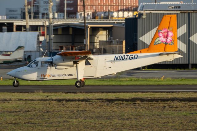 ROMAERO Islander (N907GD) - New Scheme Paint 