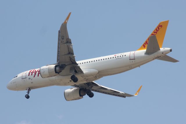 Airbus A320neo (TC-NCD)
