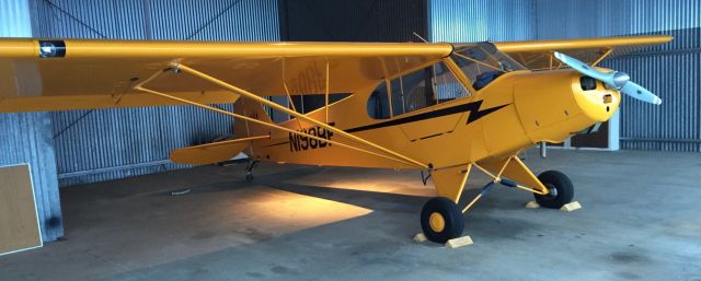 Piper NE Cub (N198BF)