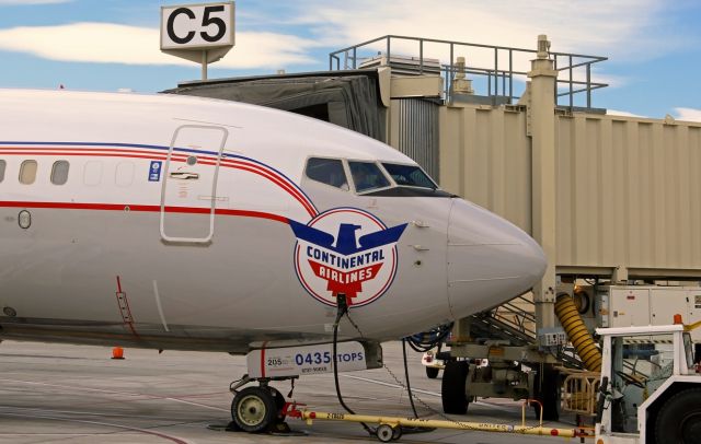 Boeing 737-900 (N75435) - Ive got many, many people to say Thanks to for my catching this wonderful special livery here at Reno yesterday.  I cannot name every single person, but I do wish to publicly acknowledge the following wonderful folks / agencies:  Ryan J., Michael H., "M.S.," and Daniel B. at FlightAware; "Calamity Jane" in California; and Kim, Carrie, and the M&PA branch at RTAA.  Thanks to all of you, I finally caught (after several YEARS of twice-a-day tracking) the UAL "Continental Airlines" retro special livery when it made its first-ever visit to Reno Tahoe International yesterday during the late morning - noon hour.  This one was the Top Priority special paint on my "MUST Catch" list, and after getting over 320 shots of it landing, on the ramp from every conceivable angle, and then taking off, I can scratch it off my list.  Thank You, All!  (Both Thumbs Up and Hi Fives, too)