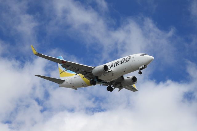 Boeing 737-700 (JA16AN) - June 21st 2020:HND-HKD.