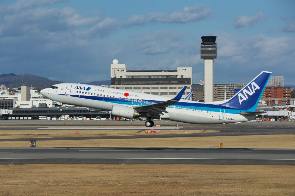 Boeing 737-800 (JA55AN)