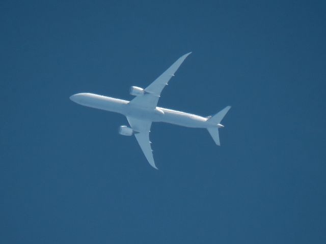 BOEING 787-10 Dreamliner (N12004)