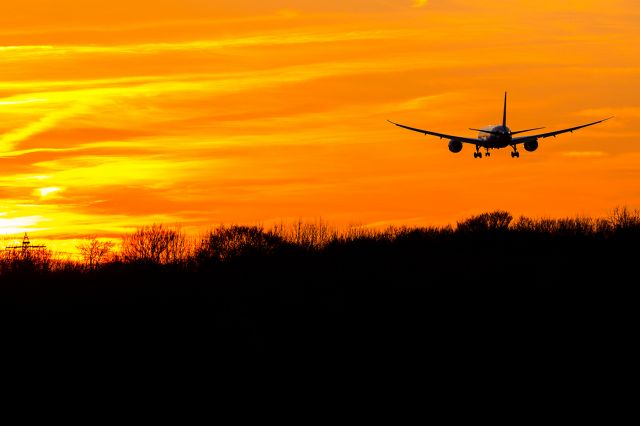 Boeing 787-8 (JA828A)