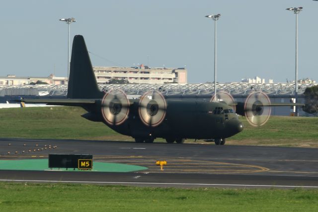 Lockheed C-130 Hercules (8TCC)