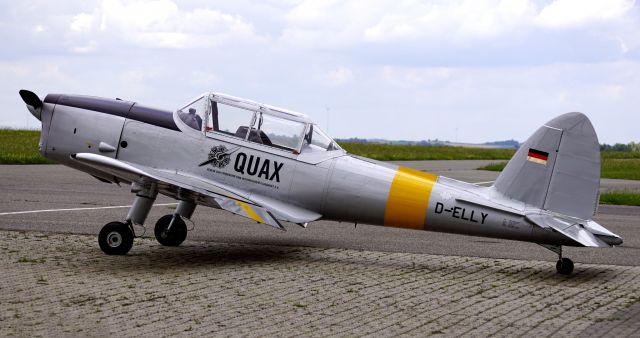 OGMA DHC-1 Chipmunk (D-ELLY) - Besucher