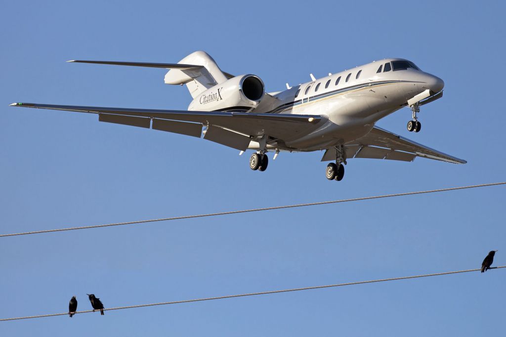 Cessna Citation X (N750DD) - N750DD on short finals at palm Beach - slightly lucky image with birds