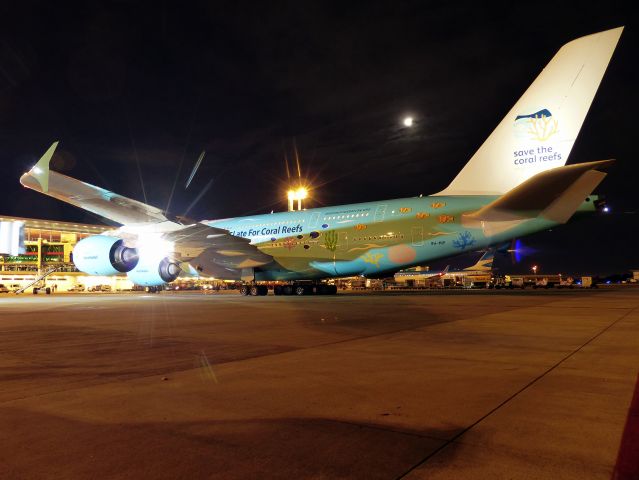 Airbus A380-800 (9H-MIP) - Primer vuelo regular operado por un Airbus A380-800 en el aeropuerto de Ezeiza