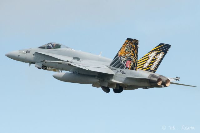 McDonnell Douglas FA-18 Hornet (J5011) - NATO Tiger meet ... Landivisiau