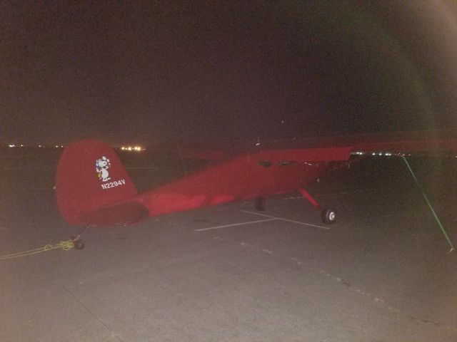 Cessna 140 (N2294V)