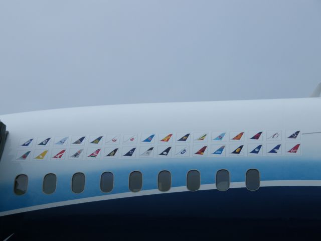 — — - N787BX B787 WITH AIRLINE TAILS OF CUSTOMERS