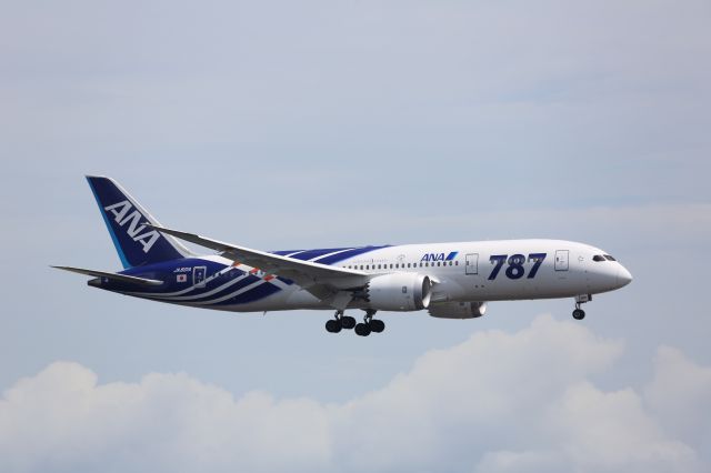 Boeing 787-8 (JA801A)