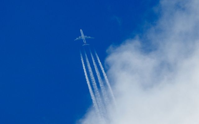 Airbus A340-600 (EC-LFS)