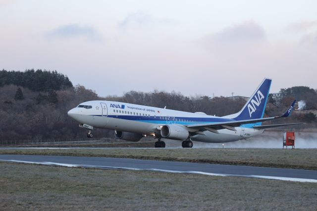 Boeing 737-800 (JA79AN) - November 30, 2024:HKD-HND.