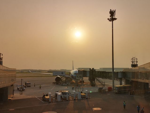 Airbus A350-900 (B-320S) - Planes in sunset