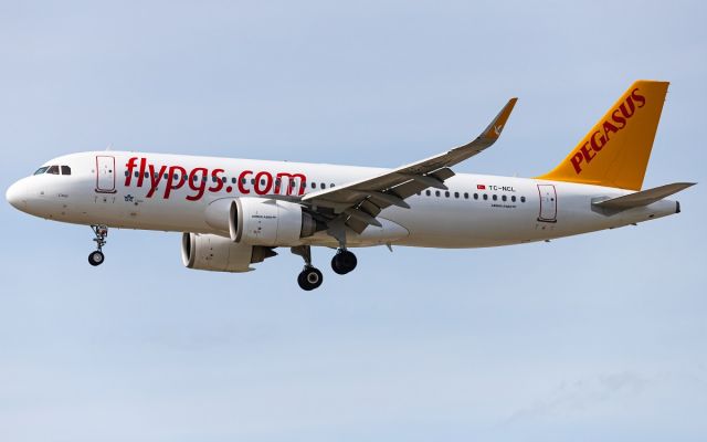 Airbus A320neo (TC-NCL)