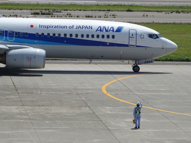 Boeing 737-800 (JA54AN)