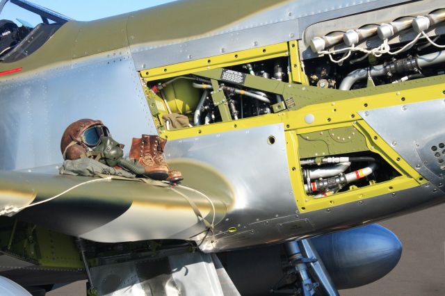 North American P-51 Mustang (UNSURE) - P-51 on display at Reno 2009