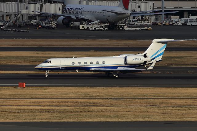 Gulfstream Aerospace Gulfstream V (N383LS)