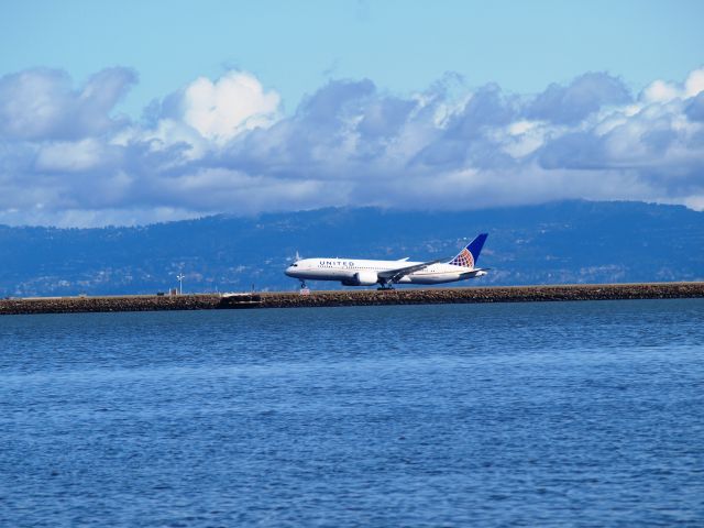 Boeing 787-8 (N20904)