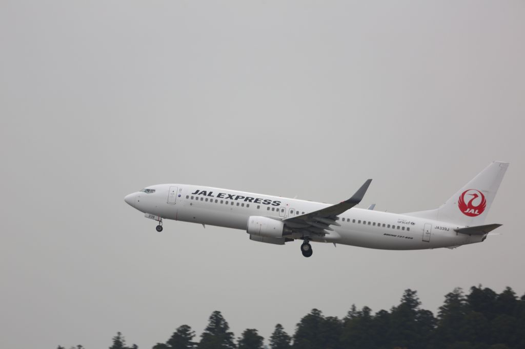 Boeing 737-800 (JA339J)