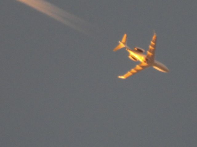 Bombardier Challenger 300 (N310KE) - TUL-br /11/20/2024