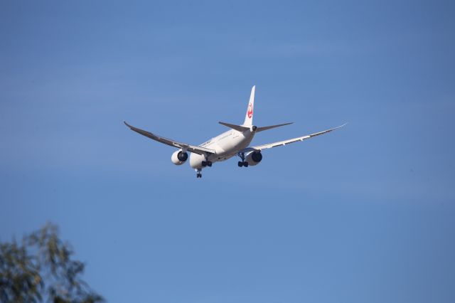 Boeing 787-9 Dreamliner (JA875J)