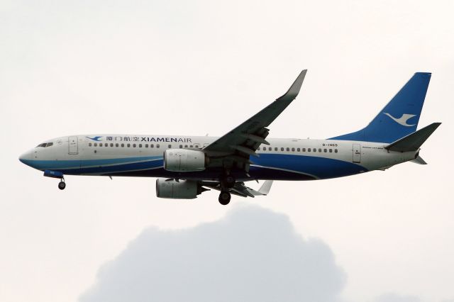 Boeing 737-800 (B-1969)