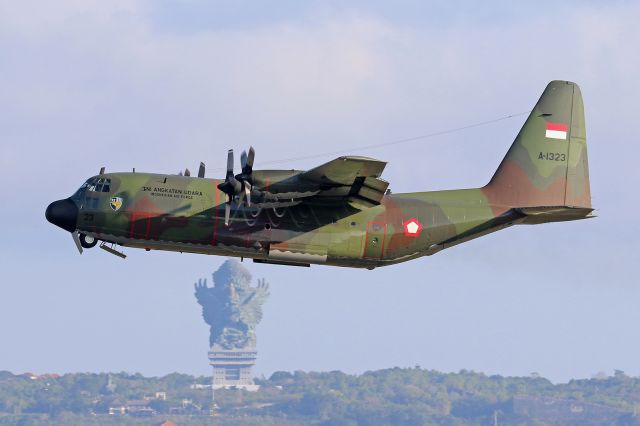 Lockheed C-130 Hercules (A1323) - SkU32