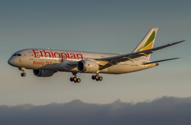 Boeing 787-8 (ET-AOT) - Sun not quite over the horizon as ET502 arrives from Dublin, short finals for runway 24R