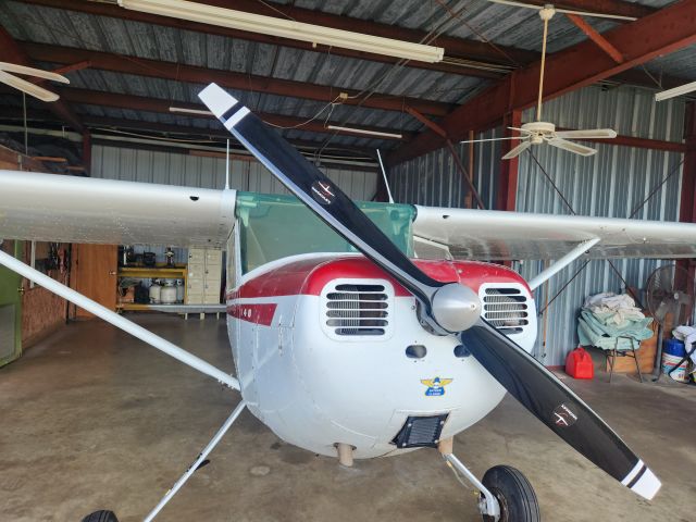 Cessna 140 (N9615A)