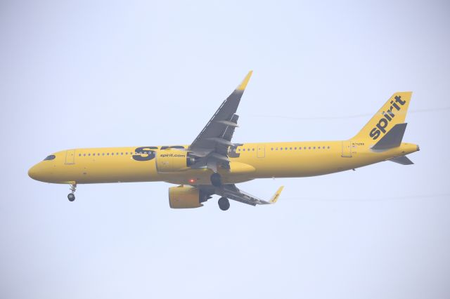Airbus A321neo (N712NK)
