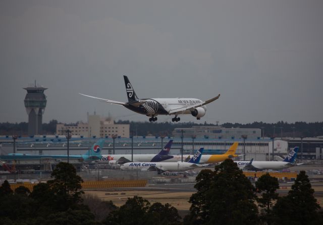 Boeing 787-9 Dreamliner (ZK-NZF)