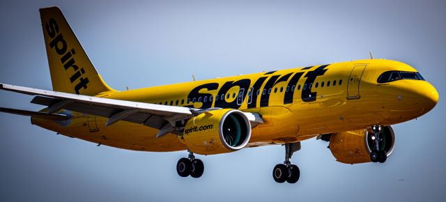 Airbus A320neo (N966NK) - landing at lax
