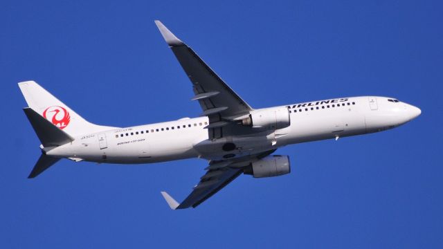 Boeing 737-800 (JA301J)