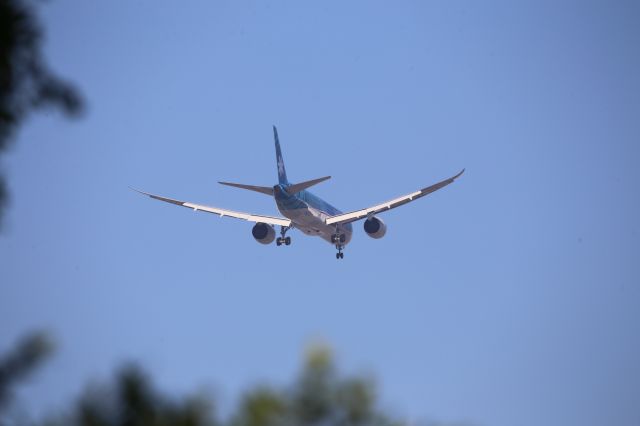 Boeing 787-9 Dreamliner (F-OMUA)