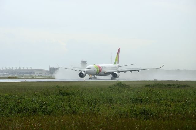 Airbus A330-200 (CS-TOE)