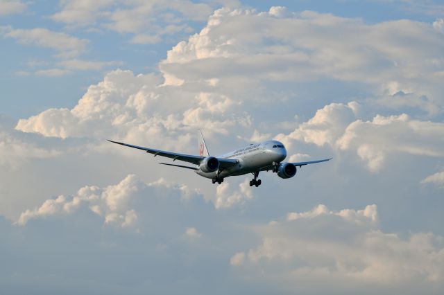 Boeing 787-9 Dreamliner (JA871J) - 2022.7.23br /JL6721 LAX→NRT