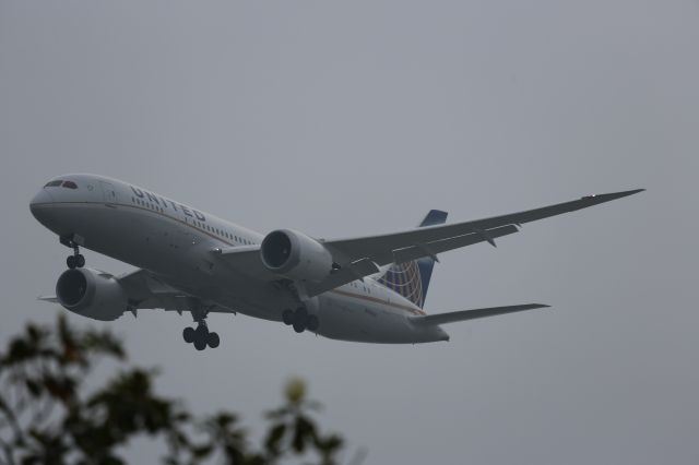 Boeing 787-8 (N26906)