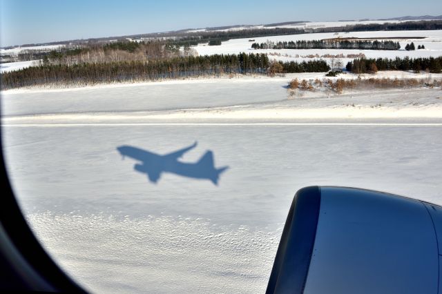 BOEING 767-300 (JA07AN)