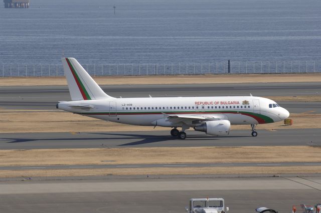 Airbus A319 (LZ-AOB) - Bulgaria Gvmt A319 Taxing at Haneda Intl Airport on January 26th 2011　”VIP　Flight"