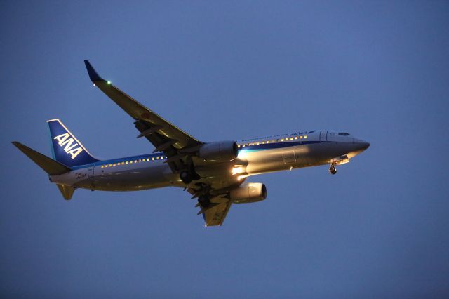 Boeing 737-800 (JA71AN) - 14 April 2016:HND-HKD.