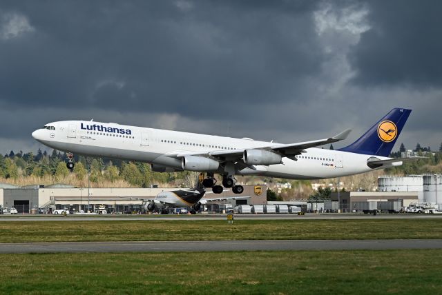 Airbus A340-300 (D-AIGZ)
