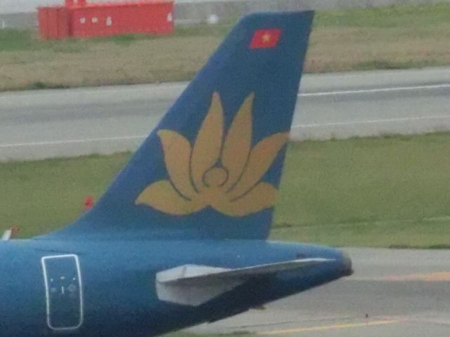 VN-A353 — - 綺麗な尾翼。